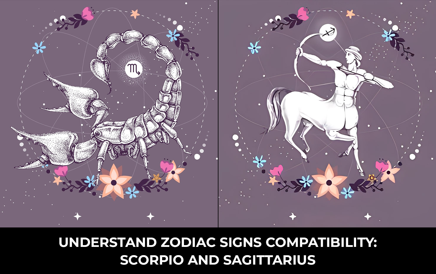 Understand Zodiac Signs Compatibility: Scorpio and Sagittarius